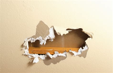What you’ll need for fixing holes, chips, and damage in walls: A scraper to remove paint, £4.90. Filler, £6.20. Sandpaper, £3. Sugar soap, £5.25. Paint. ‘Once the wall is dry, you’re ...